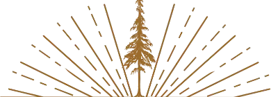 JSR-1772092279-699ffb772e101.webp